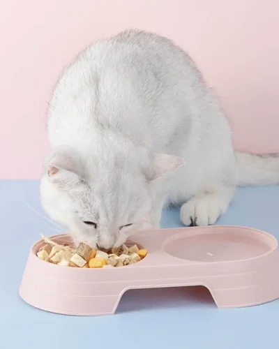 Plastic Pet Dog Cat Puppy Double Bowl Feeder Water Dish Bowls Food Drinking Tray Holder PP Candy Color Pet Supplies Accessories