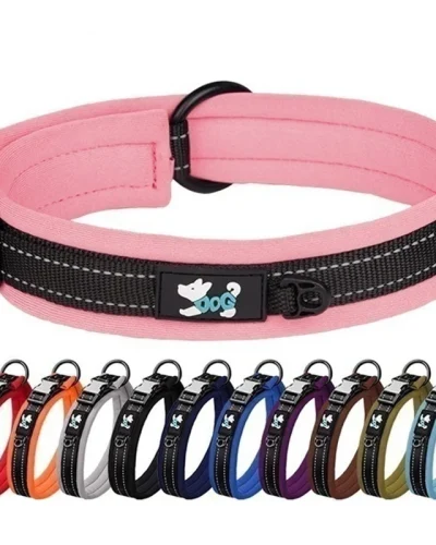 CP399 Soft Comfortable Padded Engraving Buckle Reflective Adjustable Durable Nylon High Quality Pet Dog Collar