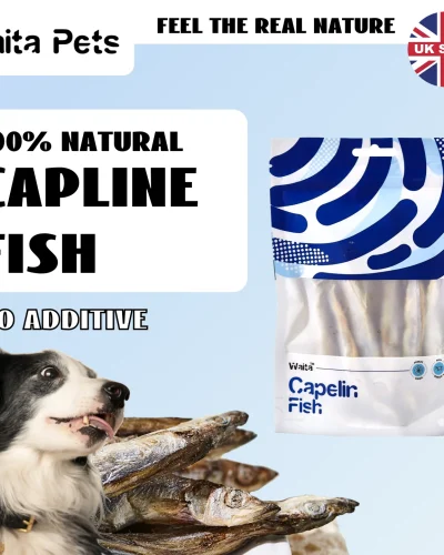 Waita Freeze Dried Capelin 40g Premium Pet Treats Cat Dog High Protein Nutrient Dense Skin Coat Rich Vitamins Minerals
