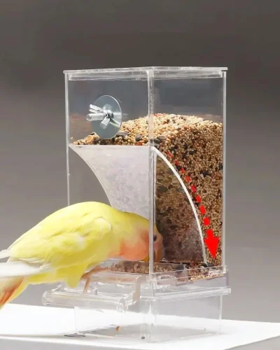 Large Capacity Splash Proof Automatic Feeding Bird Feeder Parrot Bags Tiger Skin Peony Xuanfeng Small Parrot Feed Bird Food Box