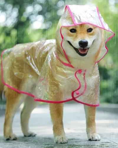 Pet Dog Puppy Transparent Rainwear Raincoat Pet Hooded Waterproof Jacket Clothes Soft PVC Small Dogs Raincoat Puppy Rain Poncho