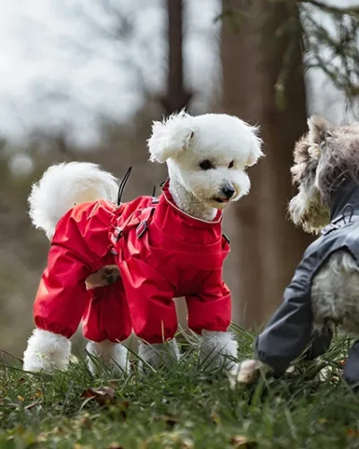 Dog Raincoat with Harness Waterproof Pet Jumpsuit for Small Medium Dogs Adjustable Reflective Puppy Rain Coat Chihuahua Rainwear