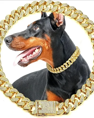 Pet Dog Chain Collar Luxury Gold Metal Chain Collar Small Medium Large Dogs Cats Pet Jewelry Necklace Cuban Collar Accessories