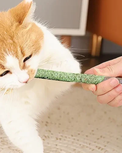 Cat Grass Sticks Indoor Cat Teething Grass Sticks Teething Stick Snacks For Cats Cat Grass Sticks For Hairball Removal