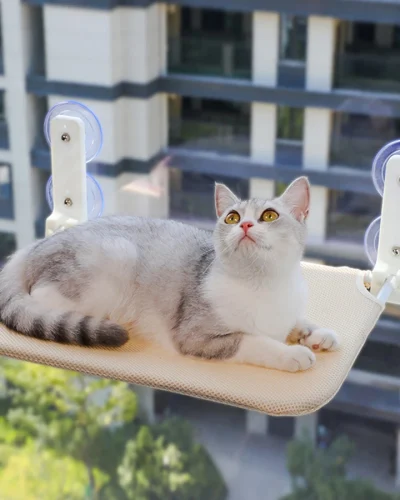 Assembly free folding cat hammock plush mesh cat window wall jumping platform double suction cup cat hammock