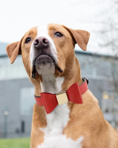 PU Leather Dog Collar Gentle Man Bowtie Pet Necklace Collars Cute Bowknot Dog Accessory Collars For Small Medium Dogs Cats
