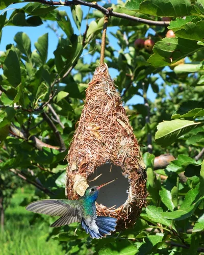 1/2PCS Bird House Natural Grass Hummingbird Bird Nest Fiber Hand-Woven Roosting Nest Bird Hut for Yard Decoration