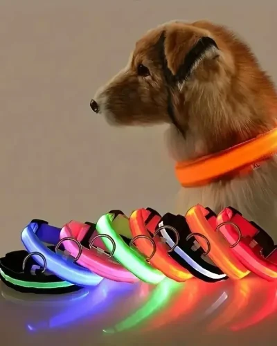 Nylon LED Night Safety Flashing Glow In The Dark Dog Leash Dogs Luminous Fluorescent Pet Dog Collar