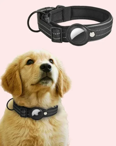AirTag Dog Collar Reflective Dog Collar Padded Dog Collars AirTag Holder Case Adjustable Pet Collar for Small Medium Large Dogs