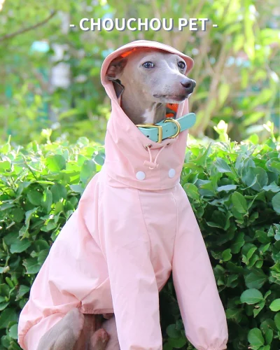 Italian Greyhound Whippet pet clothes for autumn outdoor sun protection, wind and rain protection with detachable hat for dog